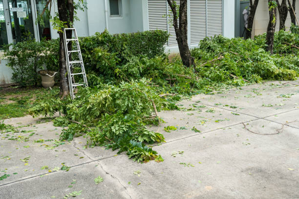 Best Seasonal Cleanup (Spring/Fall)  in Orchards, WA